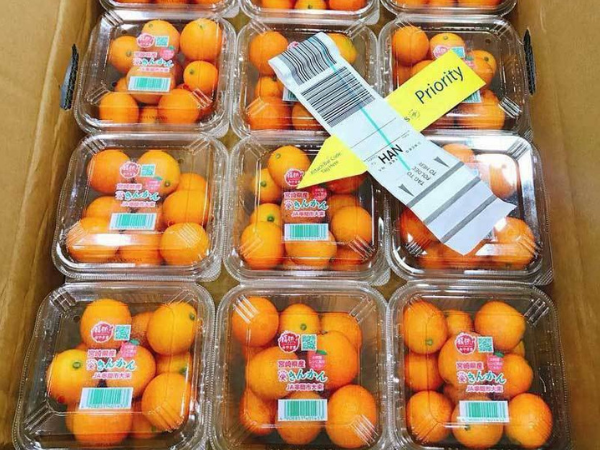 http://haiyengroup.com/bang-gia-quang-cao-tren-phunuonline-net/