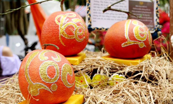 http://haiyengroup.com/bang-gia-quang-cao-tren-phunuonline-net/