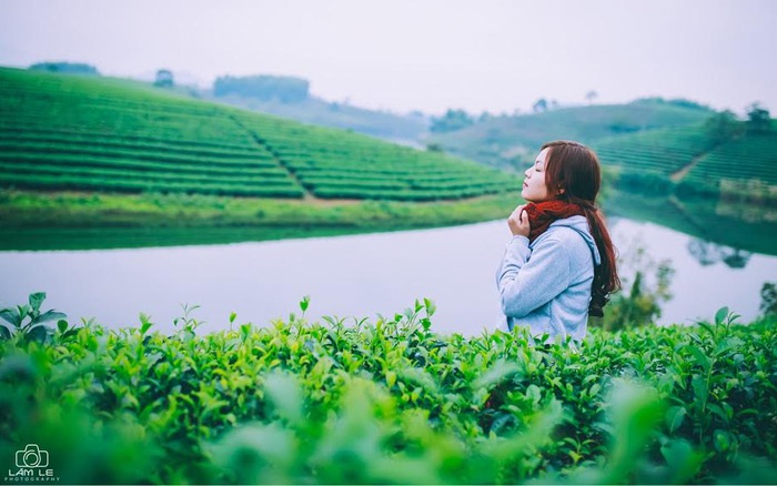 http://haiyengroup.com/bang-gia-quang-cao-tren-phunuonline-net/