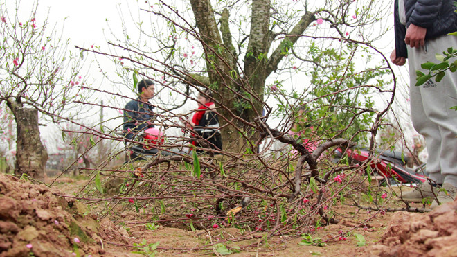 http://haiyengroup.com/bang-gia-quang-cao-tren-phunuonline-net/