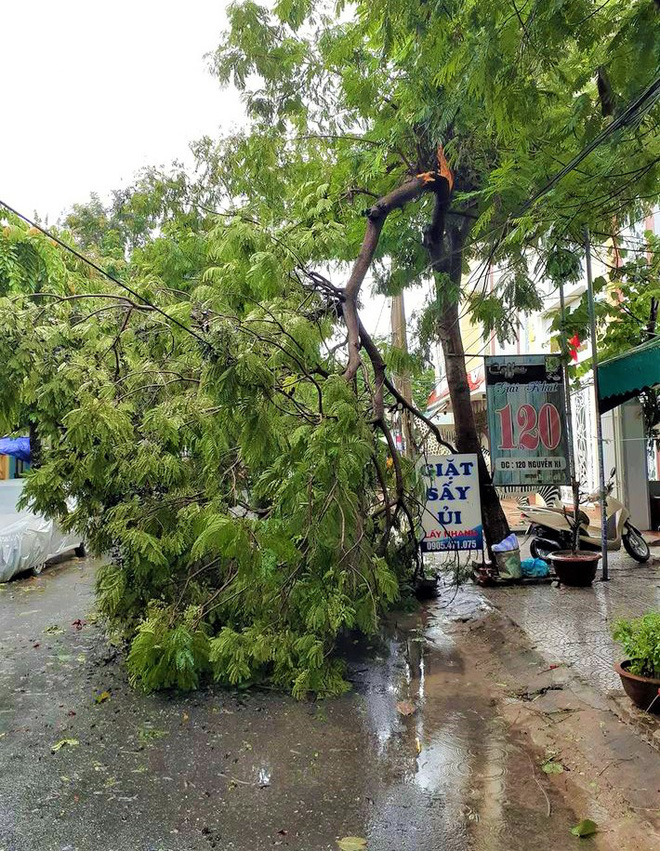Đà Nẵng: Nhiều nơi vẫn đang ngập nặng, gió lớn làm hàng loạt cây xanh gãy đổ - Ảnh 14.