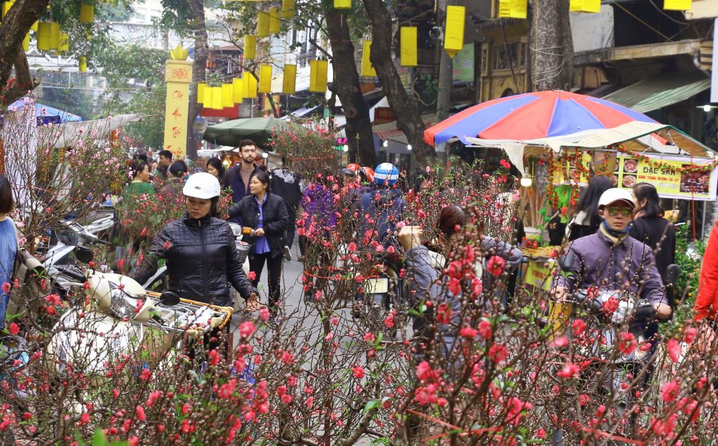 Hà Nội tổ chức 89 điểm chợ hoa xuân phục vụ Tết Tân Sửu 2021 - phunuduongthoi.vn