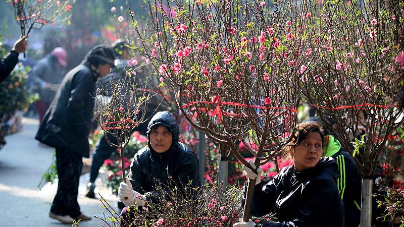 Hà Nội tổ chức 89 điểm chợ hoa xuân phục vụ Tết Tân Sửu 2021 - phunuduongthoi.vn - ảnh 2