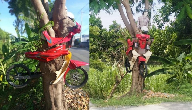 mo-hinh-xe-may-xuyen-cay-o-an-giang-khien-trieu-nguoi-to-mo-tranh-cai-2